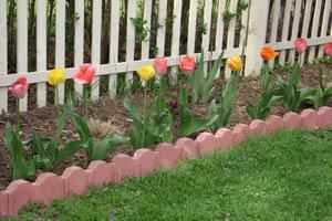 photo of decorative bricks used as garden border