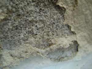 photo bubbling alkali salts efflorescence on a concrete wall