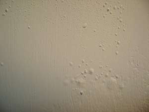 How To Repair Bubbling Paint On Walls And Ceilings Do It