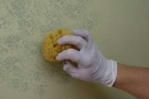 photo hand dabbing glaze onto a wall with a sponge