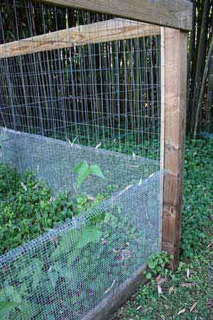 How to build a DIY chicken wire fence [2023 guide]