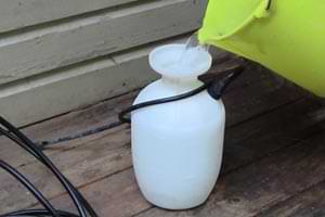 photo filling a pressure sprayer with oxygen bleach