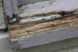 photo reinforcing nails in a rotted wood windowsill