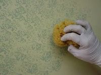 hand sponge painting on a wall
